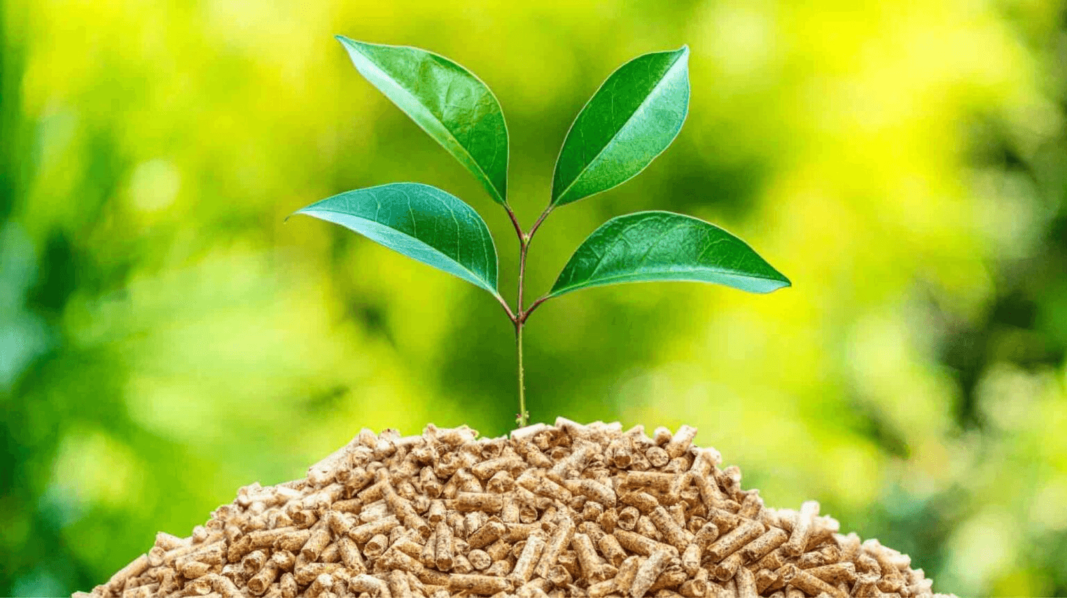 Biomass & Biogas Energy carbon offset method