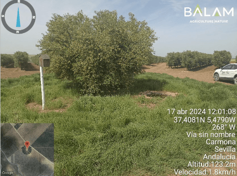 CULTIVA CARBONO – BALAM AGRICULTURE carbon project preview