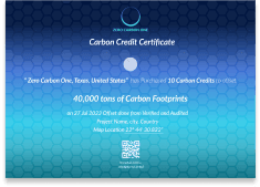 Carbon Credit NFT